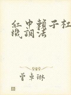 红中赖子杠麻将机调法