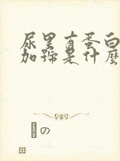 尿里有蛋白四个加号是什么情况