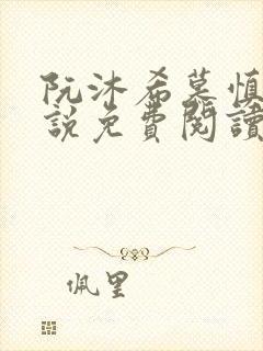 阮沐希慕慎桀小说免费阅读