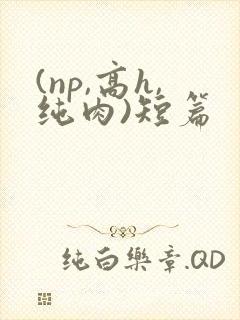 (np,高h,纯肉)短篇