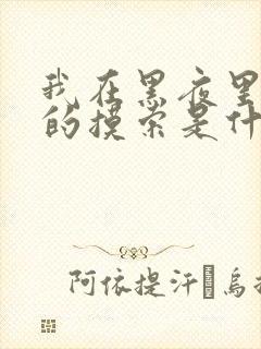 我在黑夜里仔细的摸索是什么歌