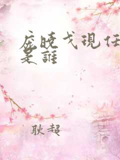 庞晓戈现任丈夫是谁