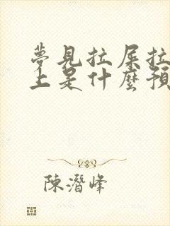 梦见拉屎拉在身上是什么预兆