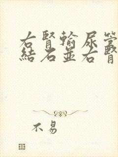 右肾输尿管下段结石并右肾积水