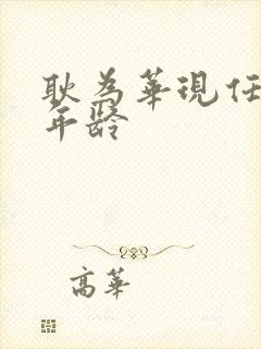 耿为华现任妻子年龄