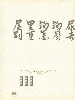 屋里狗狗尿味特别重怎么去除