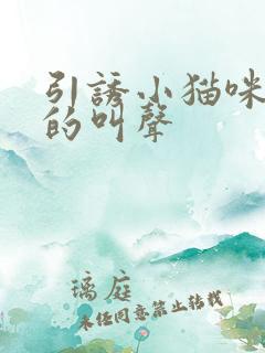 引诱小猫咪过来的叫声
