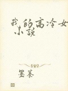 我的高冷女总裁 小说