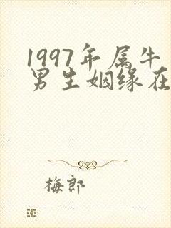 1997年属牛男生姻缘在哪年