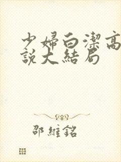 少妇白洁高义小说大结局