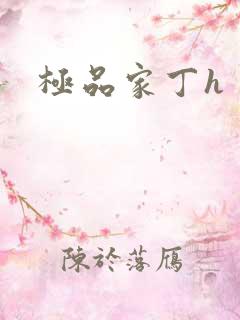 极品家丁h