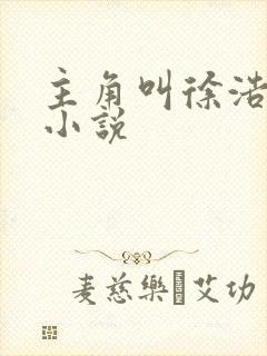 主角叫徐浩然的小说