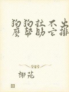 狗狗拉不出屎怎么帮助它排便