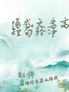 伤感文案高级感短句干净