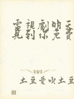 电视剧明天也想见到你免费观看