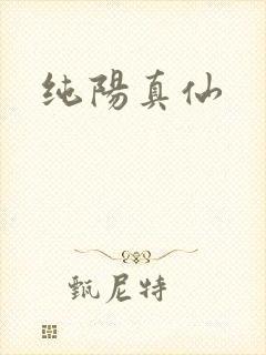 纯阳真仙