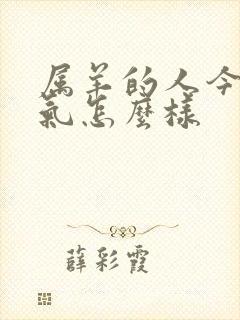 属羊的人今年运气怎么样