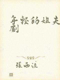 年轻的姐夫 韩剧