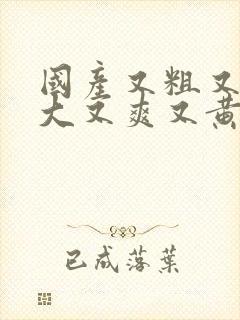 国产又粗又长又大又爽又黄视频