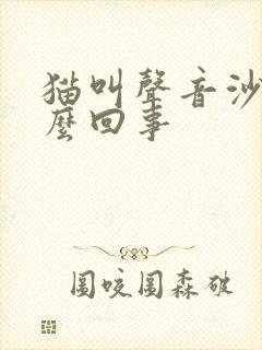 猫叫声音沙哑怎么回事