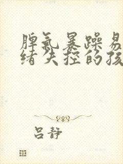 脾气暴躁易怒情绪失控的孩子