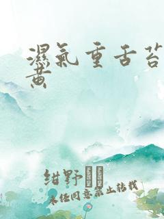 湿气重舌苔白厚黄