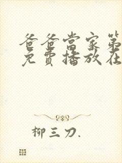 爸爸当家第4季免费播放在线观看全集