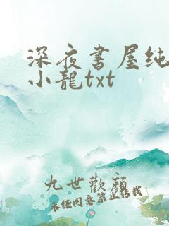 深夜书屋纯洁滴小龙txt