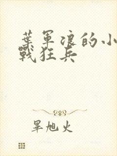 叶军浪的小说近战狂兵