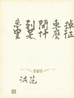 梦到开车掉进水里是什么征兆