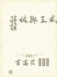 蒋婉与王威的小说