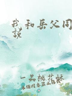 我和岳父同志小说