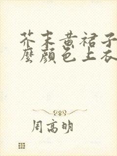 芥末黄裙子配什么颜色上衣好看