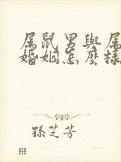 属鼠男与属马女婚姻怎么样