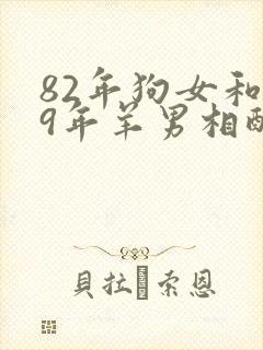 82年狗女和79年羊男相配婚姻如何
