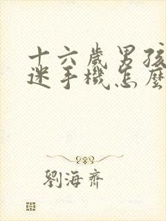 十六岁男孩子沉迷手机怎么办