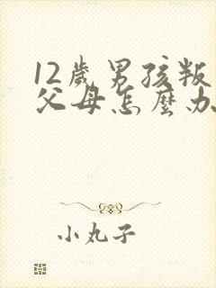 12岁男孩叛逆父母怎么办