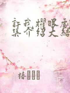 许我耀眼剧情分集介绍大结局