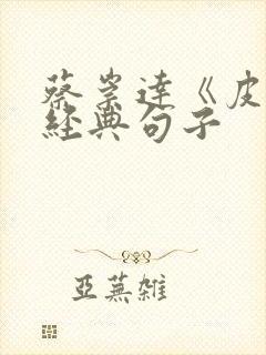 蔡崇达《皮囊》经典句子