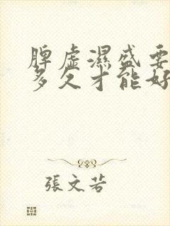 脾虚湿盛要调理多久才能好