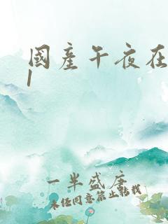 国产午夜在线91