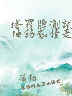 塔罗牌测试我和他的感情走向