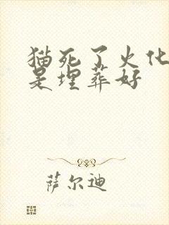 猫死了火化好还是埋葬好