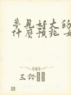 梦见好大的鱼是什么预兆 女性