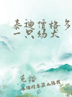 泰迪价格多少钱一只幼犬