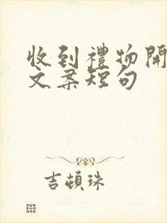 收到礼物开心的文案短句