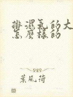 排湿气的大便是怎么样的