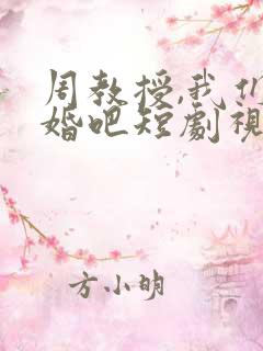 周教授,我们结婚吧短剧视频