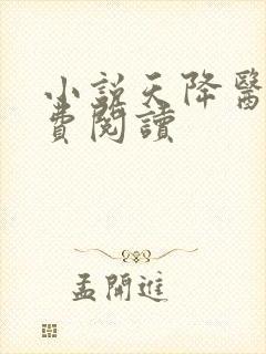 小说天降医婿免费阅读