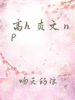 高h 爽文 np
